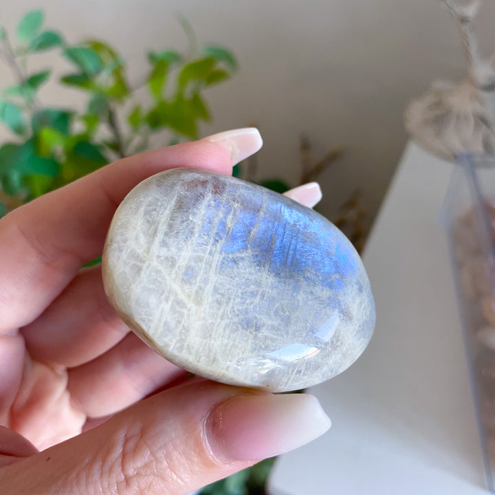 Small Imperfect Blue Flash Moonstone with Sunstone Palm Stone 