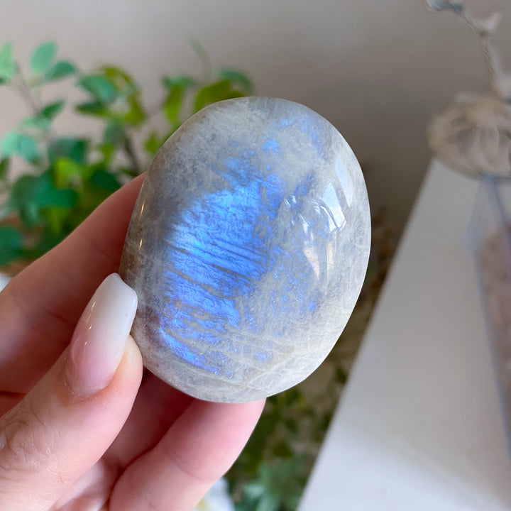 Small Imperfect Blue Flash Moonstone with Sunstone Palm Stone 