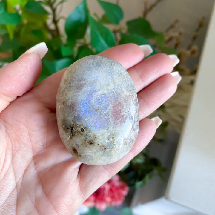 Small Imperfect Blue Flash Moonstone with Sunstone Palm Stone 