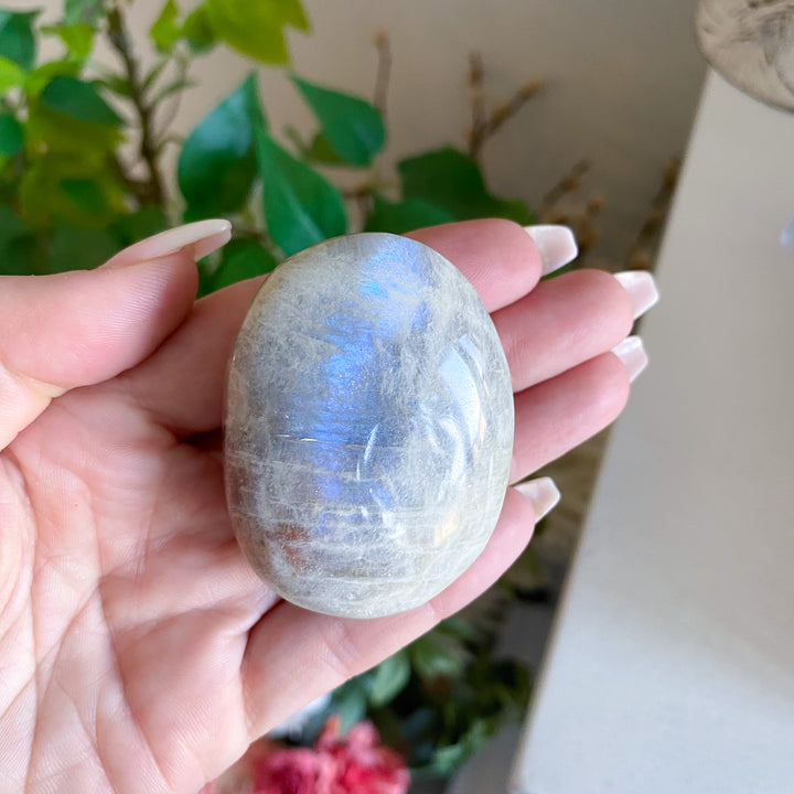 Small Imperfect Blue Flash Moonstone with Sunstone Palm Stone 