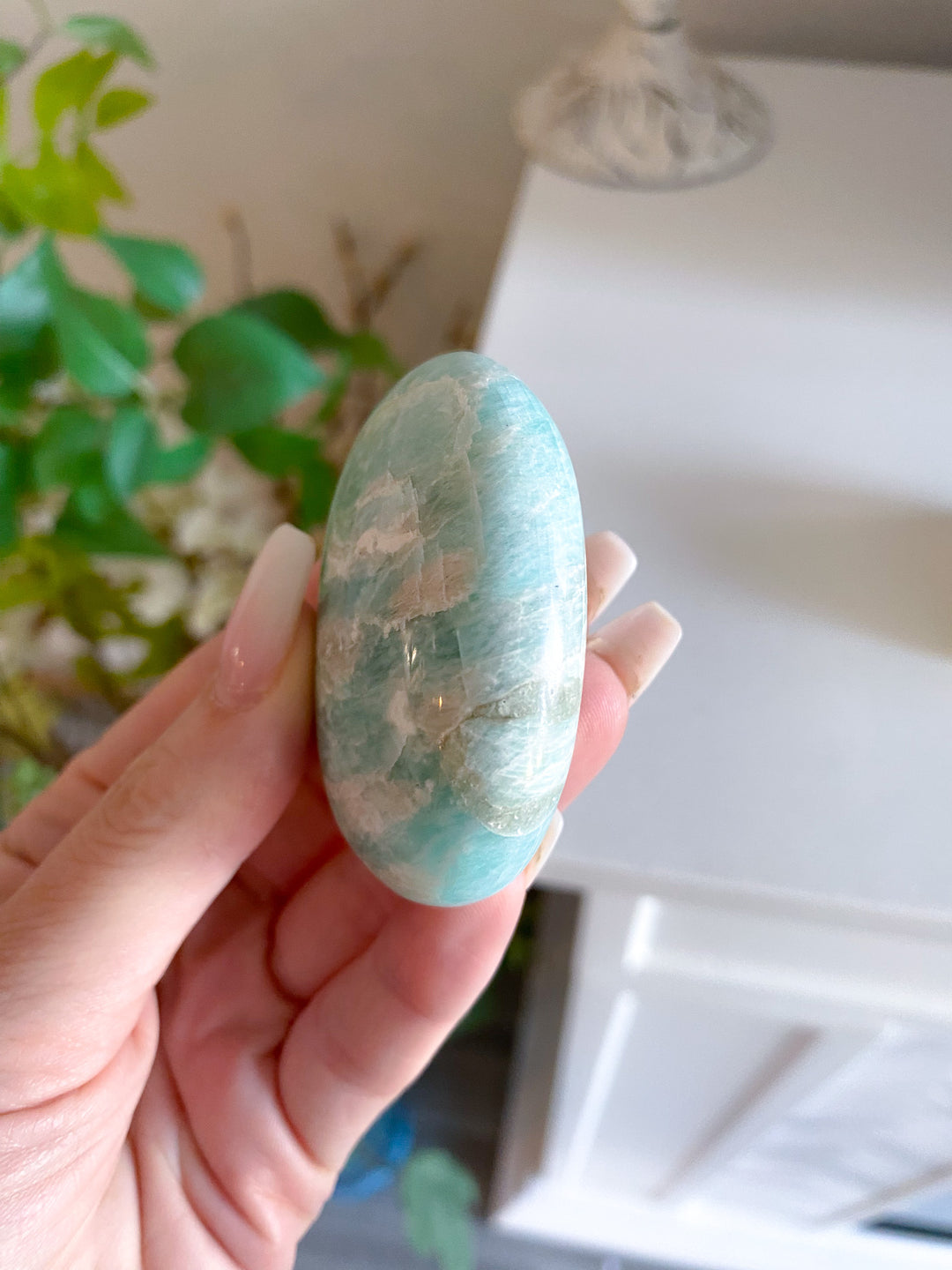 Amazonite Palm 
