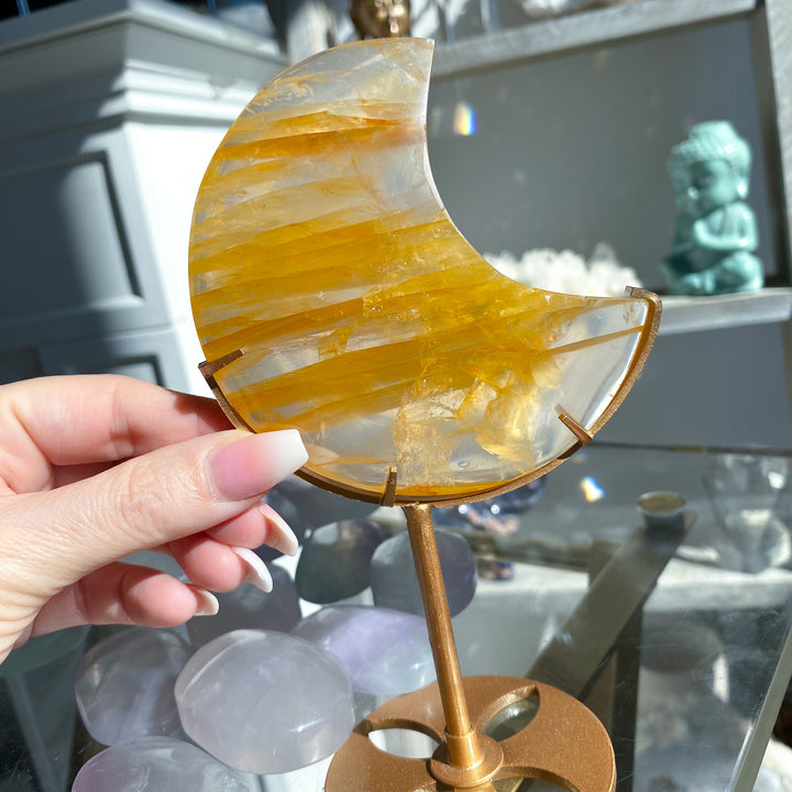Tiger Stripe Golden Healer Moon on Stand 