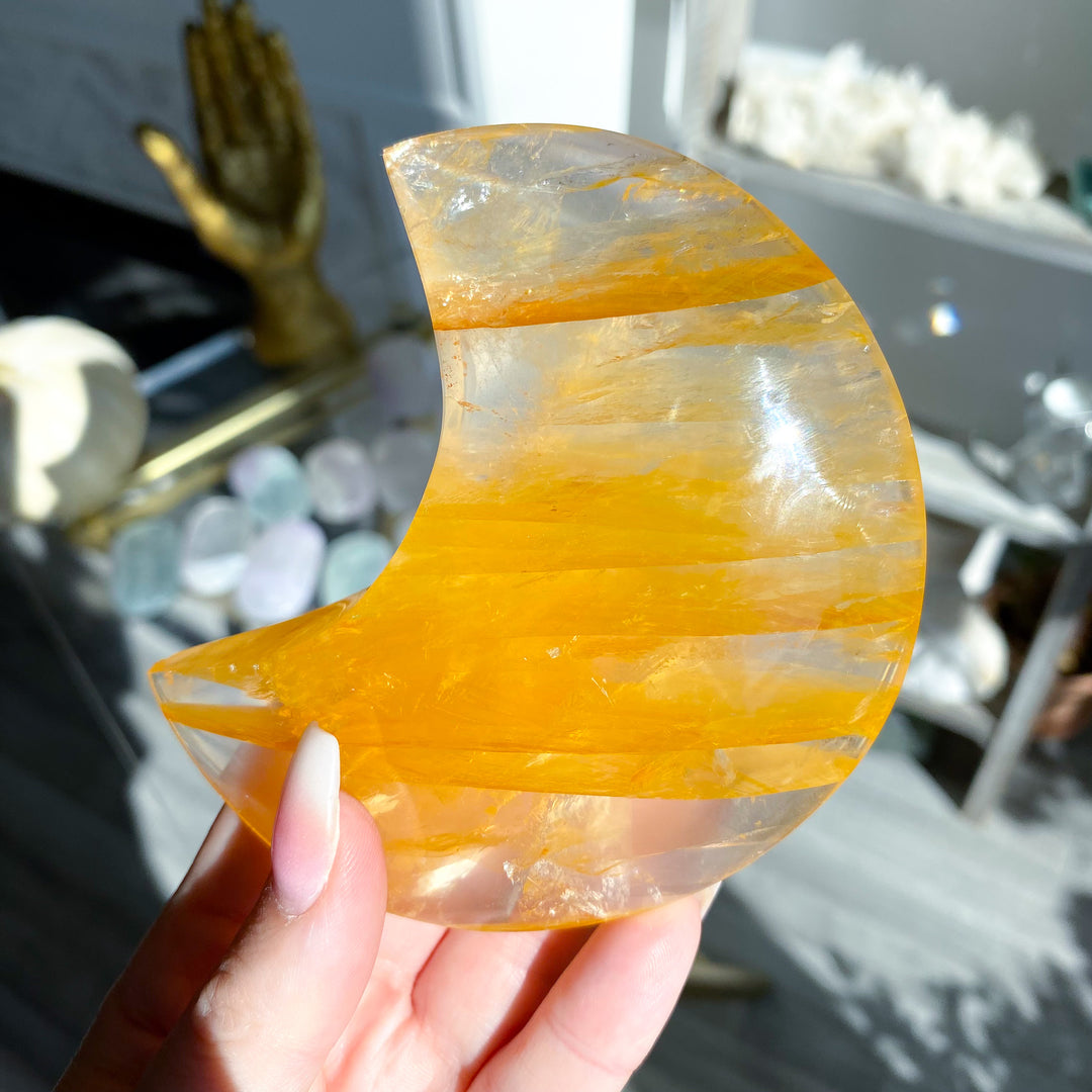 Tiger Stripe Golden Healer Moon on Stand 