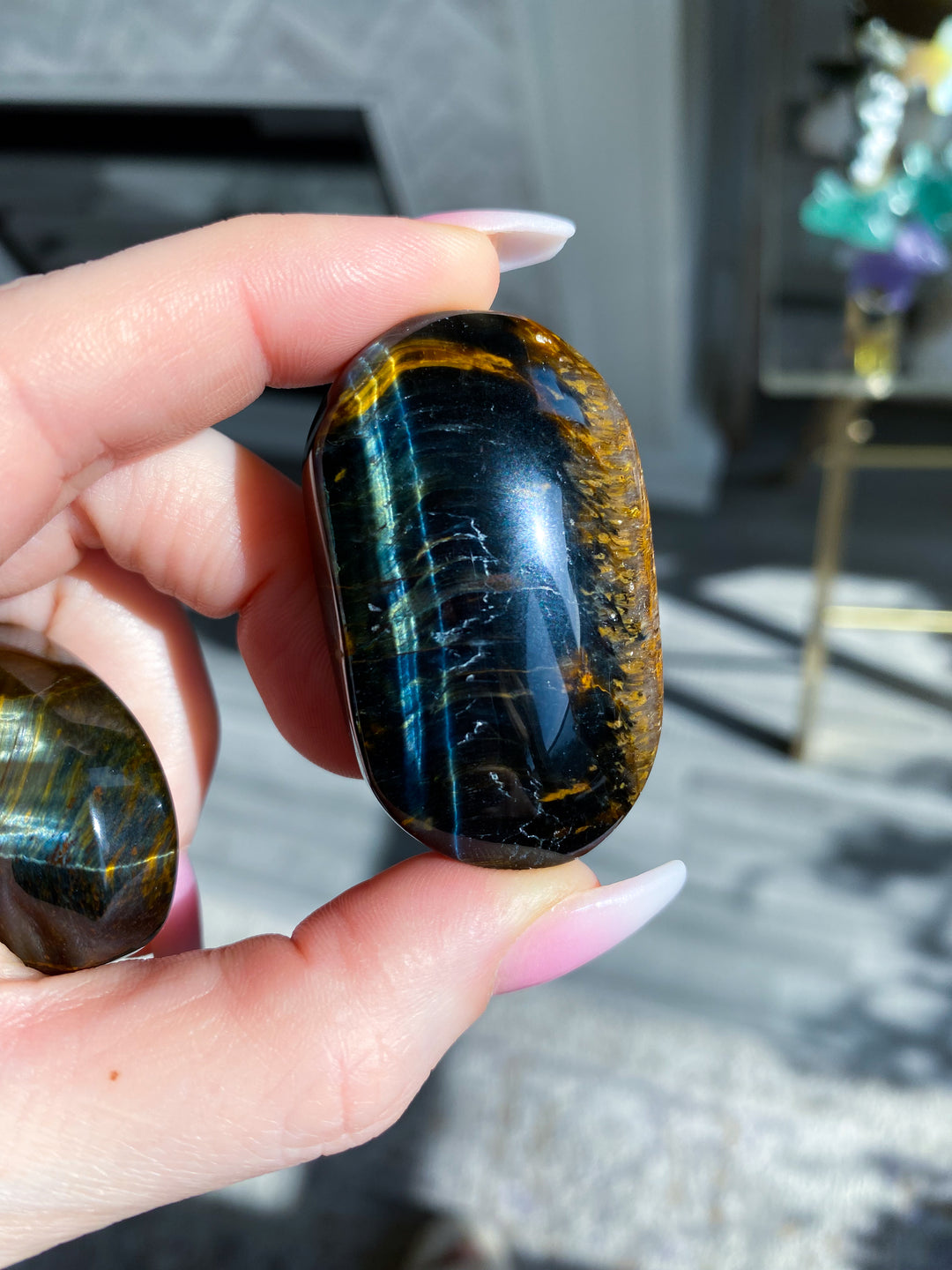 Blue Tiger Eye Palm