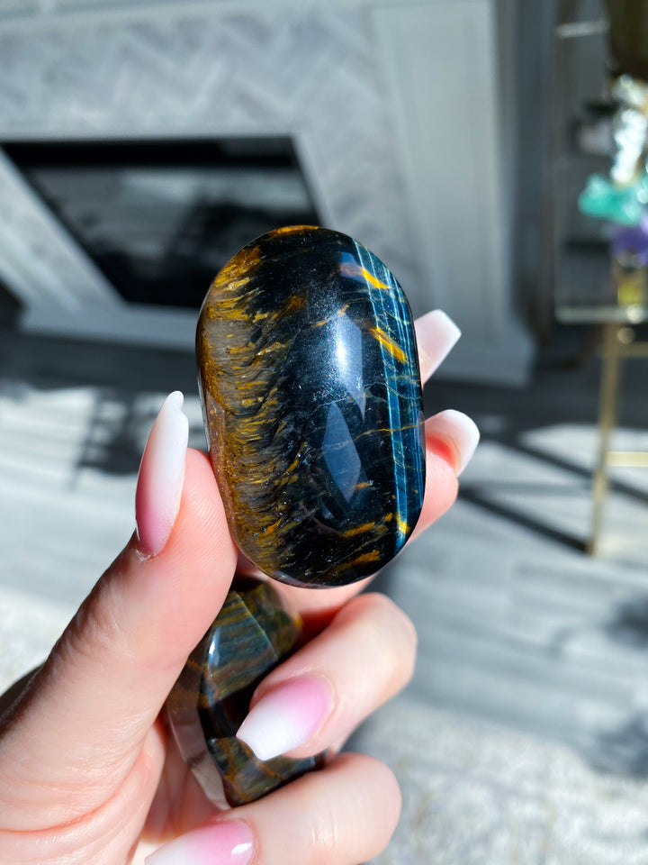 Blue Tiger Eye Palm