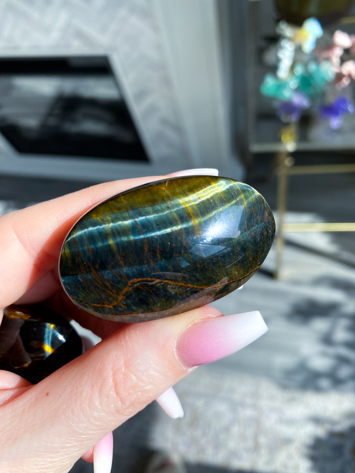 Blue Tiger Eye Palm
