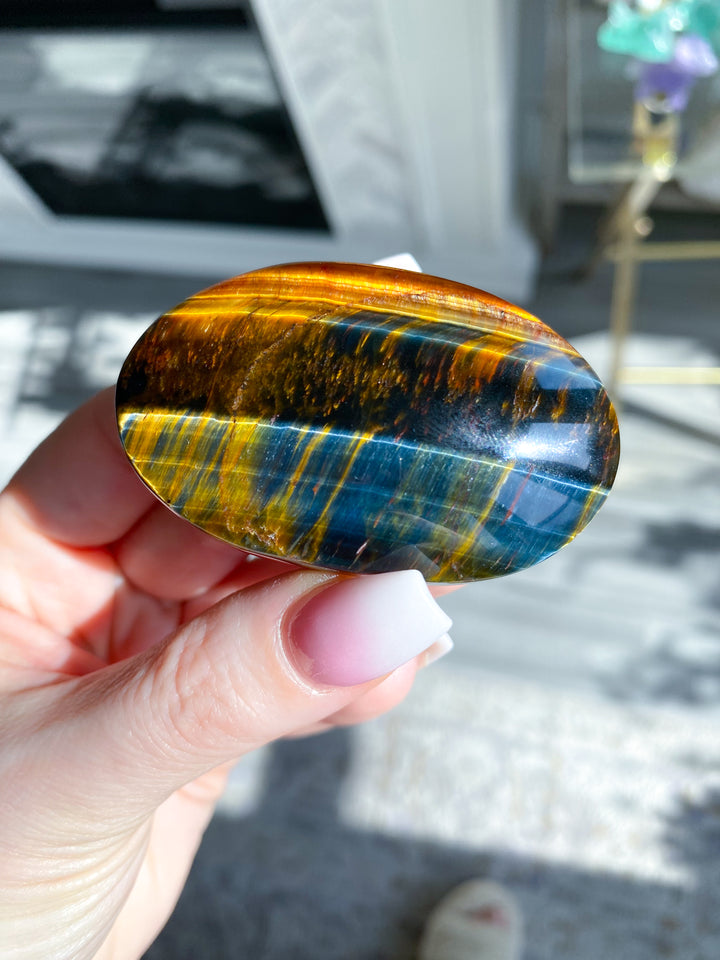 Blue Tiger Eye Palm