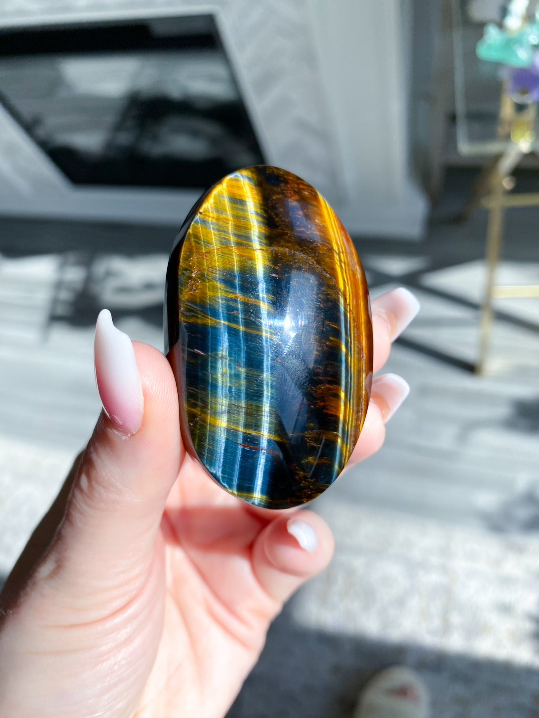 Blue Tiger Eye Palm