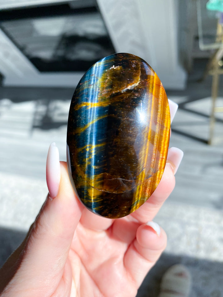 Blue Tiger Eye Palm