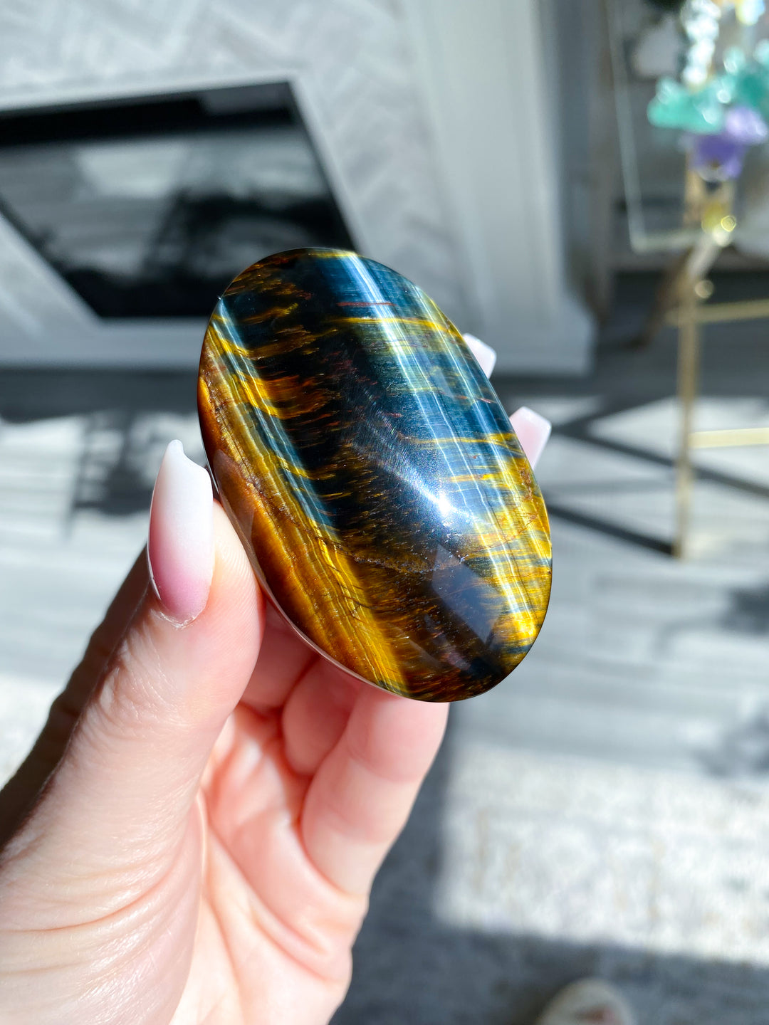 Blue Tiger Eye Palm