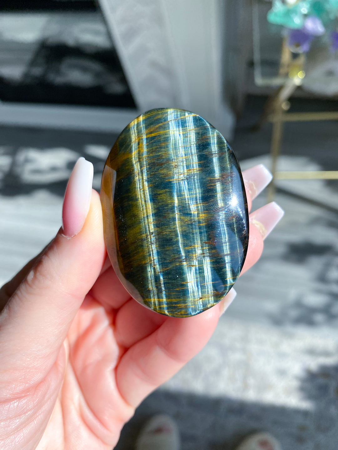 Blue Tiger Eye Palm