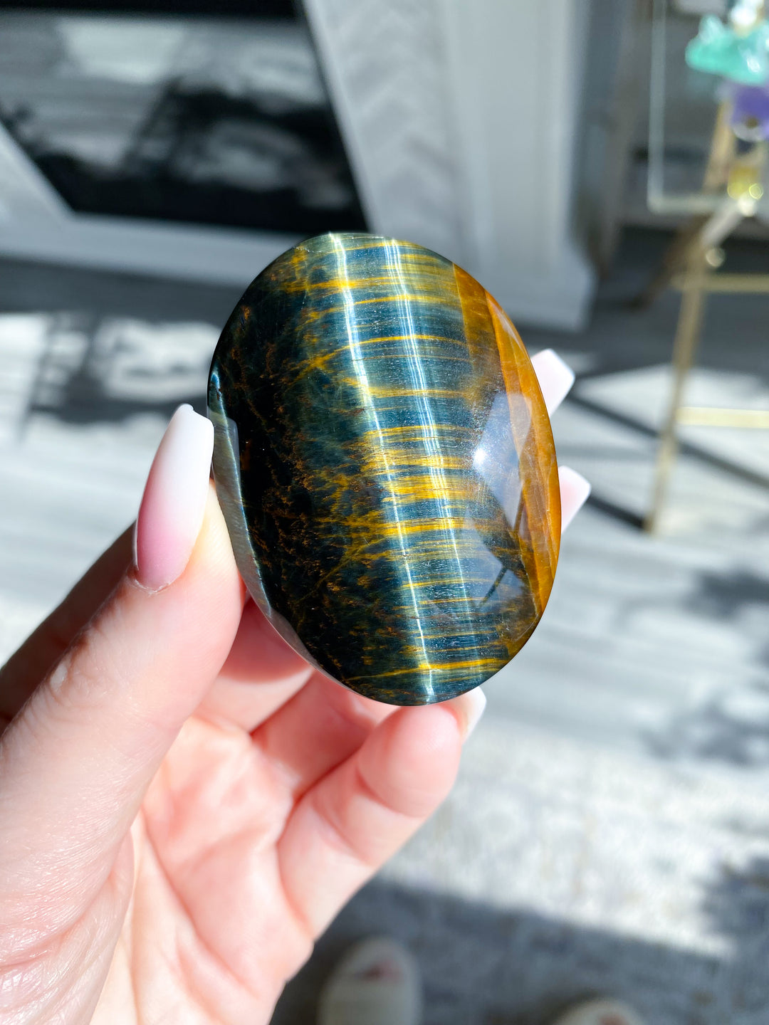 Blue Tiger Eye Palm