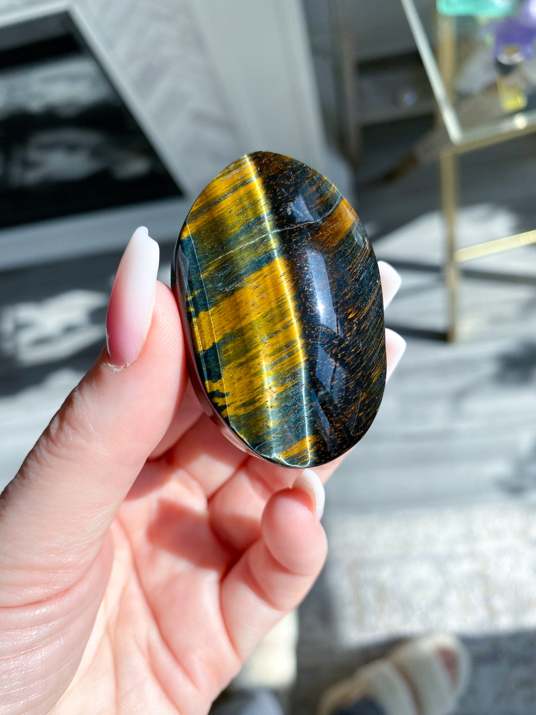 Blue Tiger Eye Palm