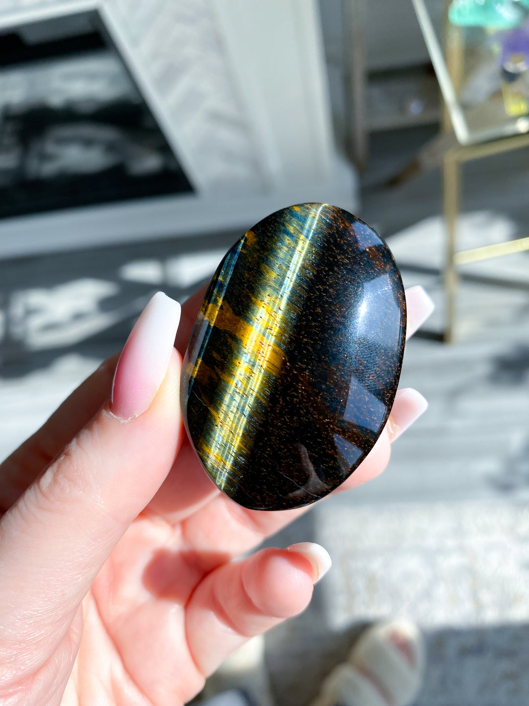 Blue Tiger Eye Palm