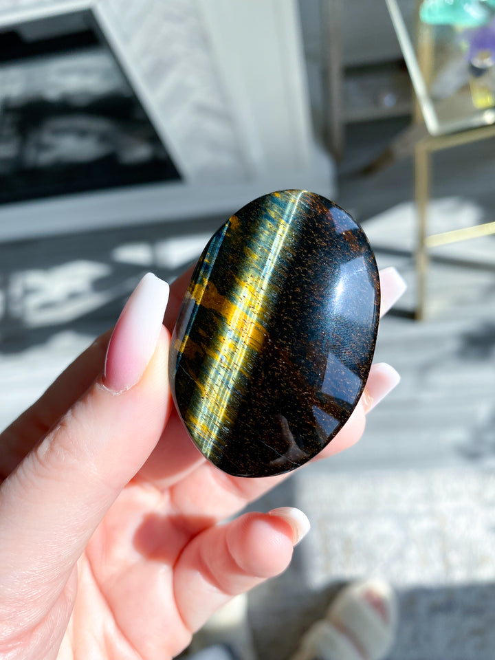 Blue Tiger Eye Palm