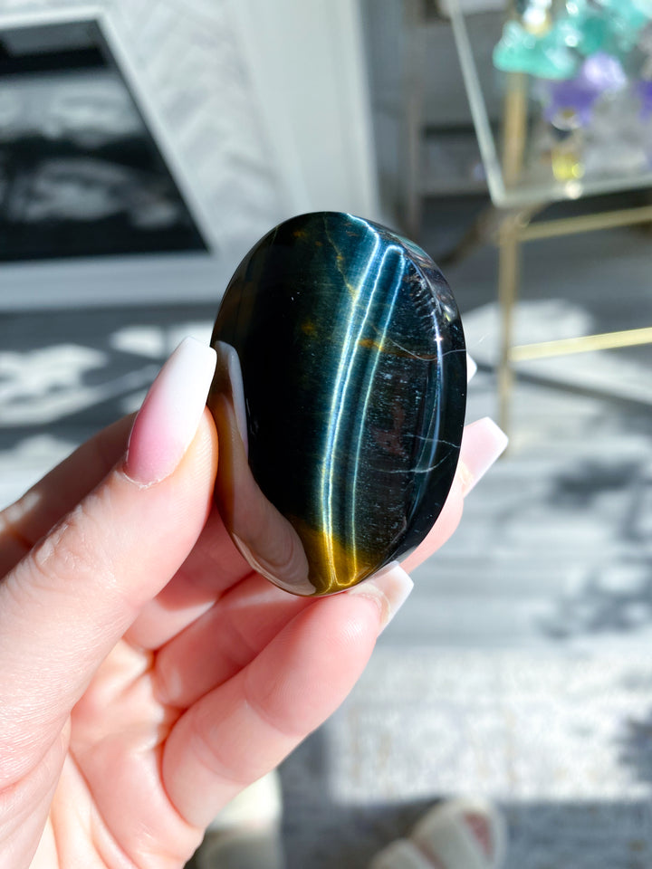 Blue Tiger Eye Palm