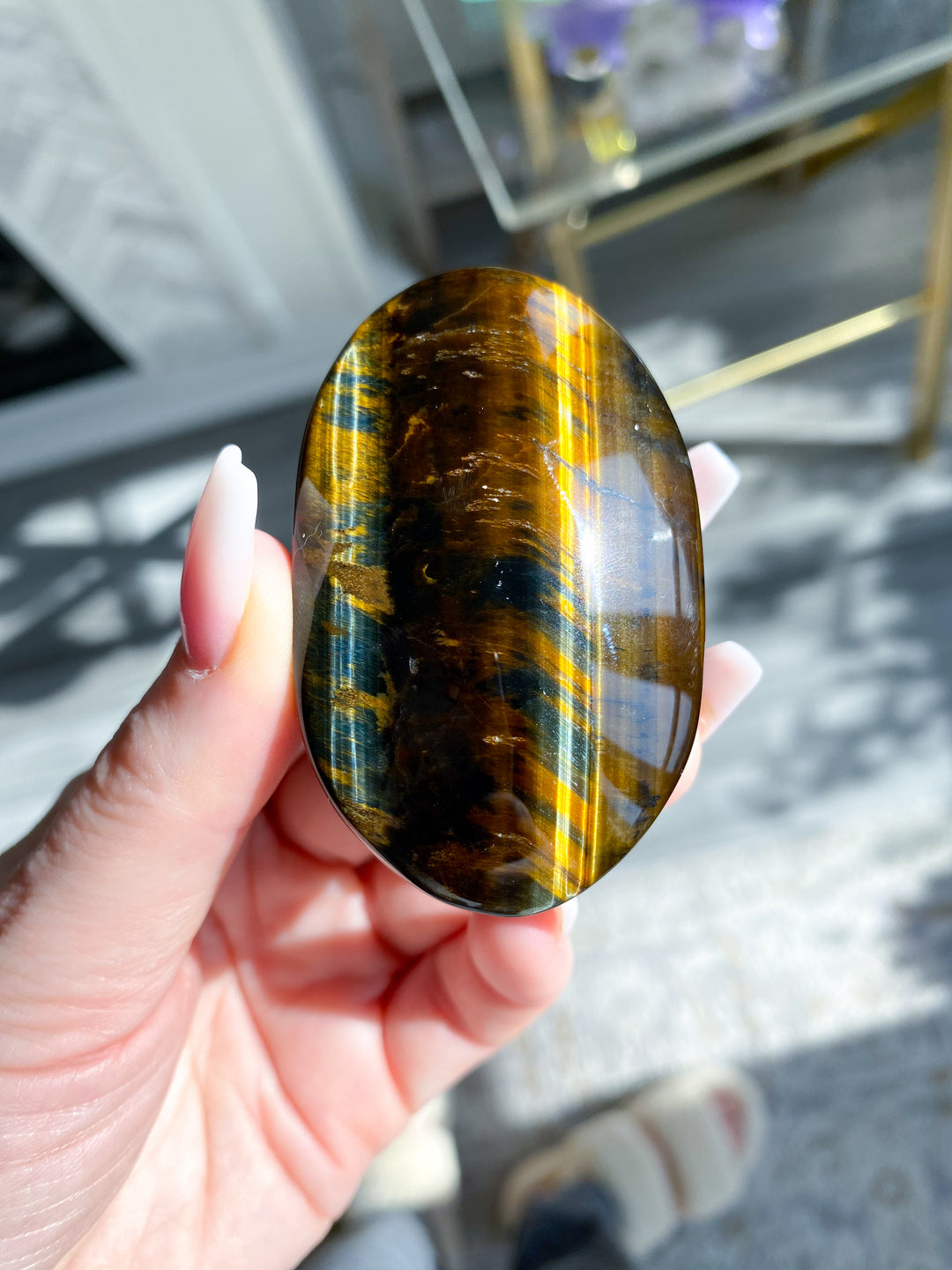 Blue Tiger Eye Palm