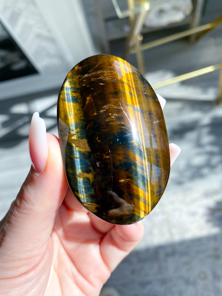 Blue Tiger Eye Palm