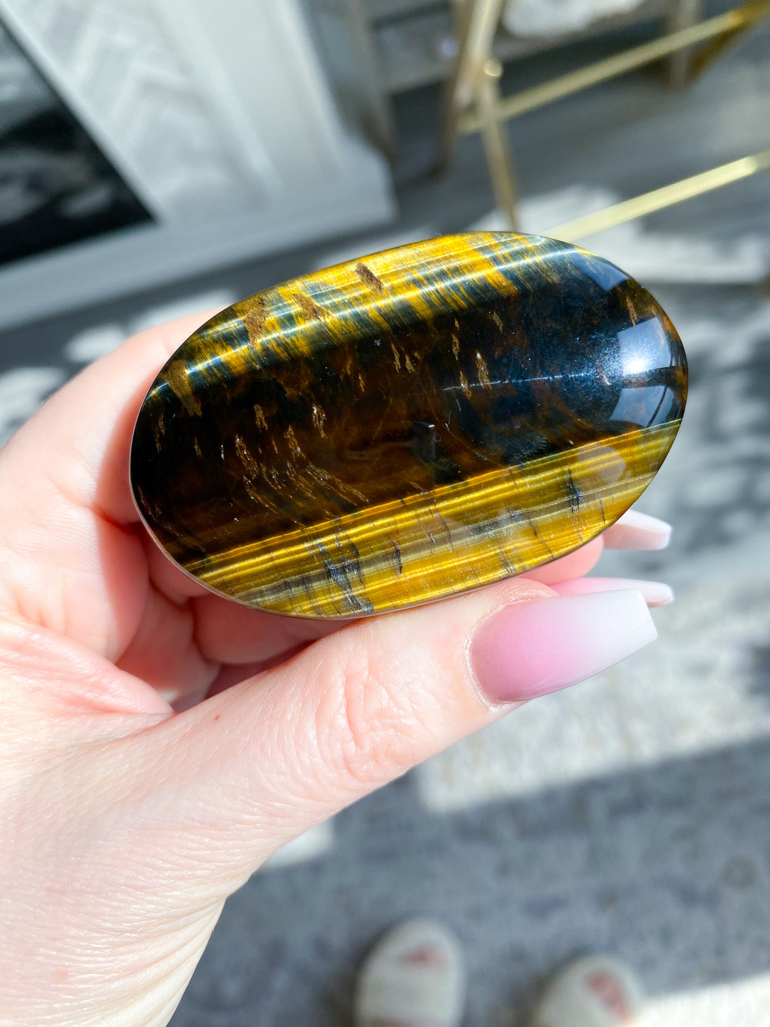 Blue Tiger Eye Palm
