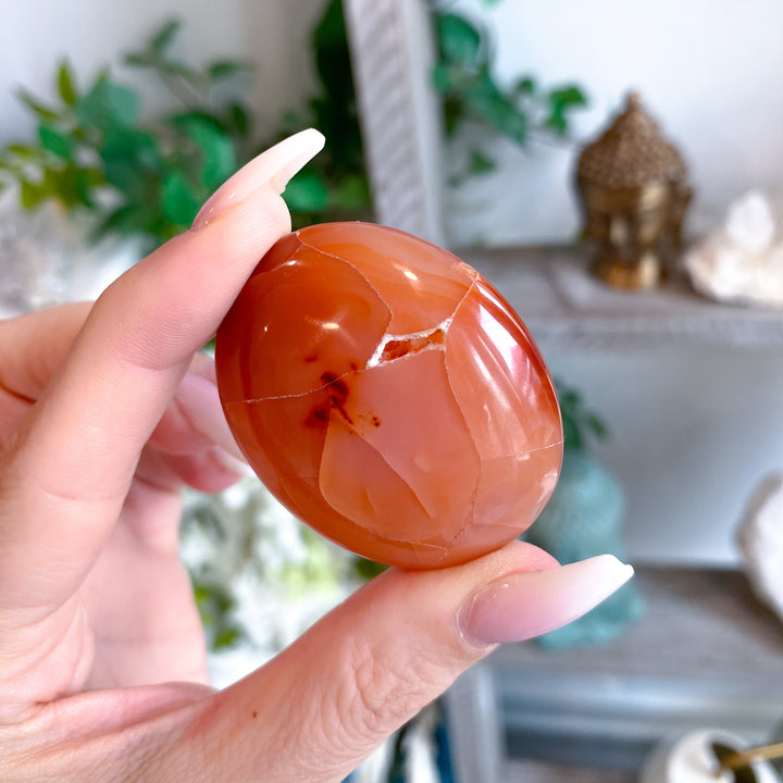Carnelian Palm Stone #8 - Get Exact Item