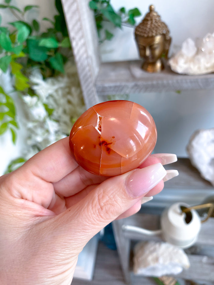 Carnelian Palm Stone #8 - Get Exact Item
