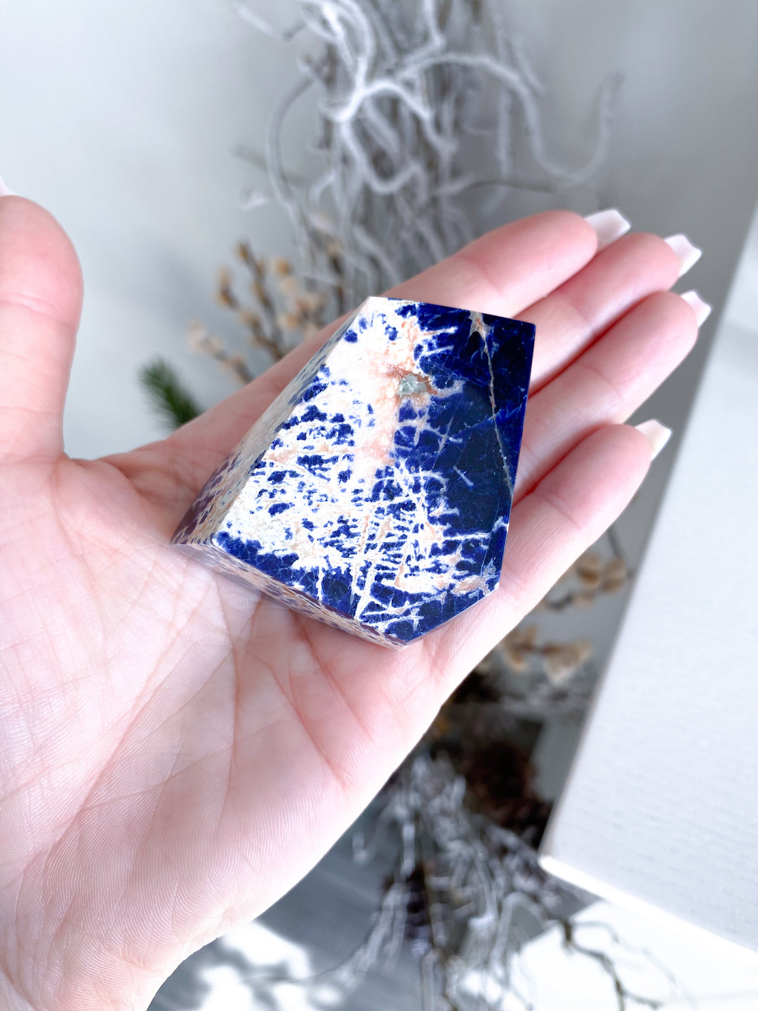 Shiny Sunset Sodalite Freeform #1