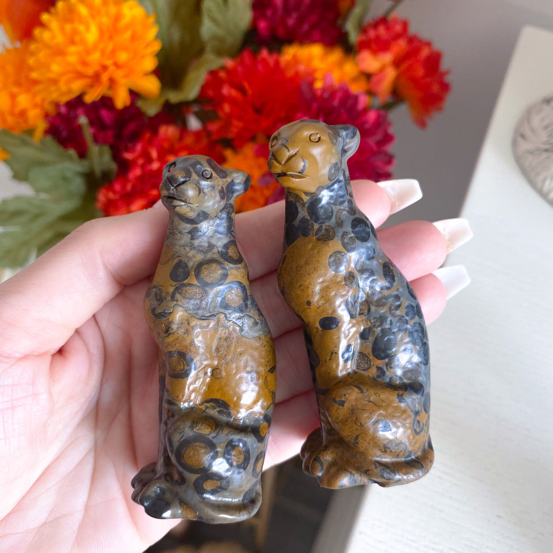 Leopard Skin Jasper Leopard Carving