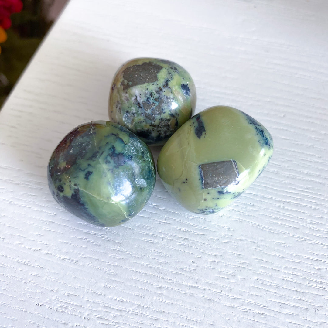 RARE Serpentine with Pyrite Inclusion Pebble