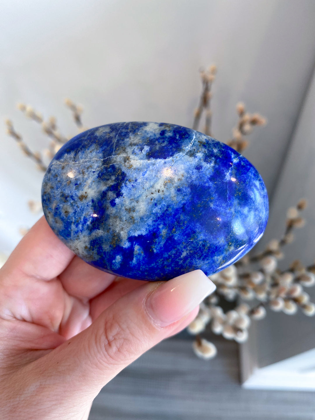 Lapis Lazuli Palm Stone #4 - Get Exact Item