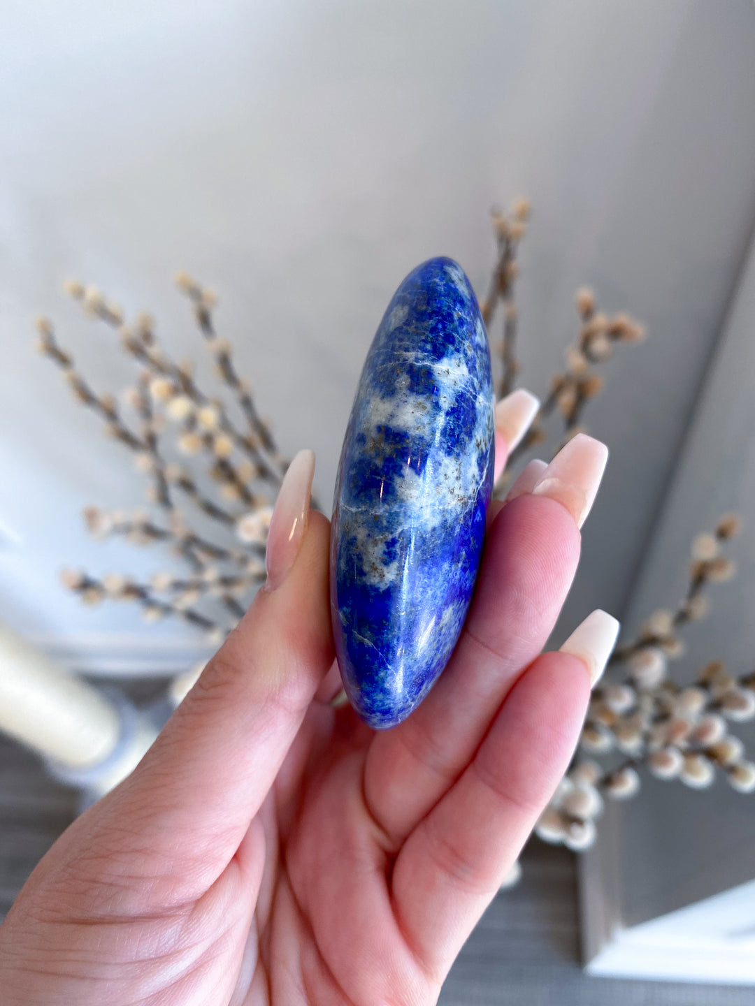 Lapis Lazuli Palm Stone #4 - Get Exact Item