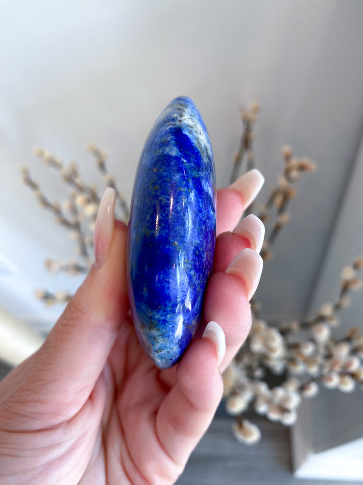 Lapis Lazuli Palm Stone #4 - Get Exact Item