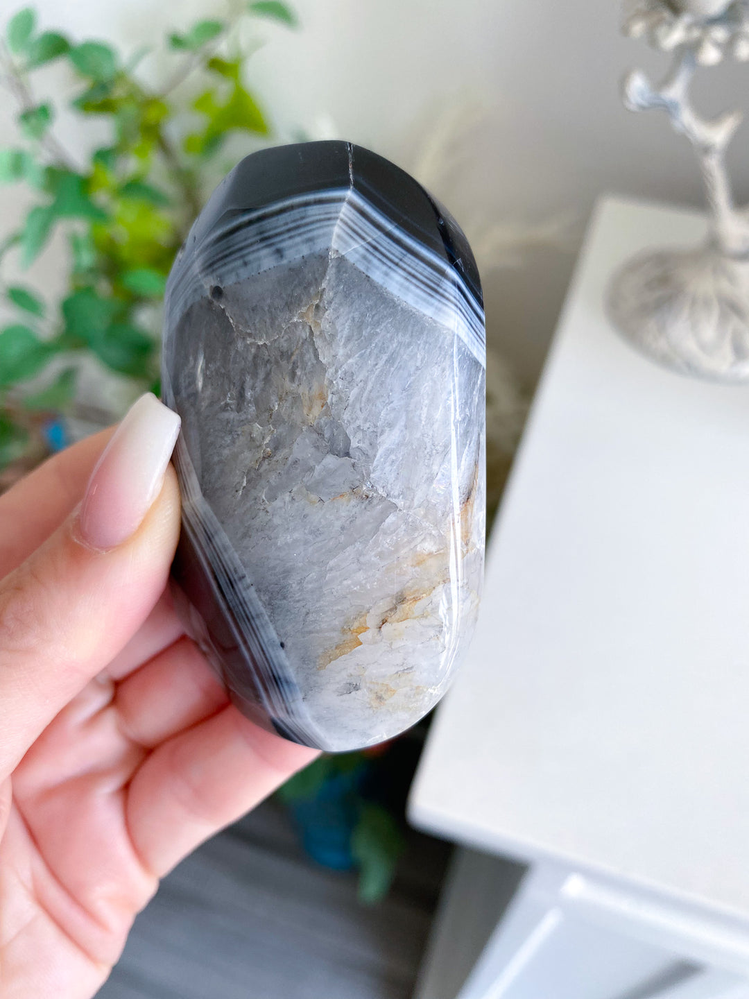 Black Agate Palm 