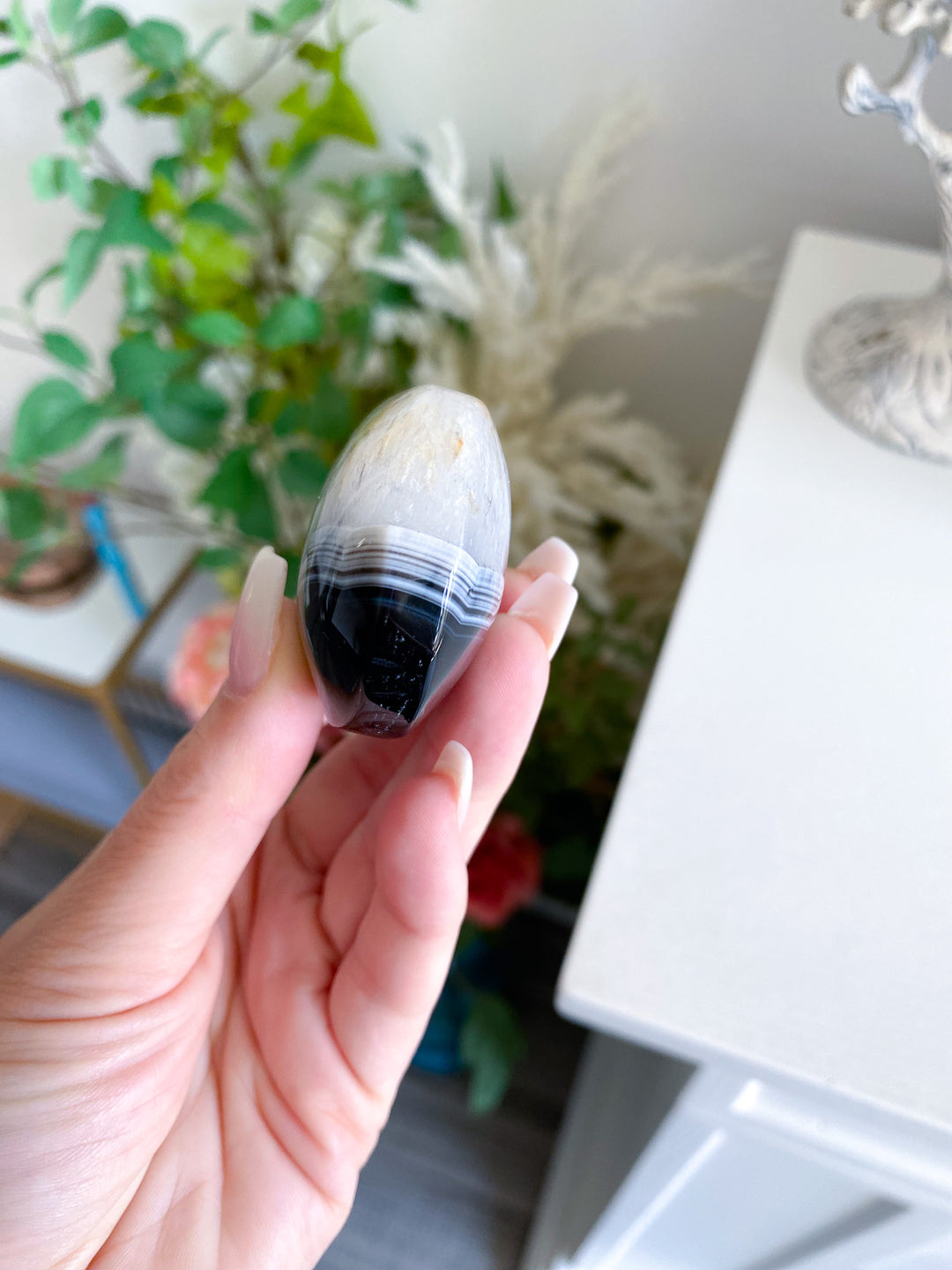 Black Agate Palm 