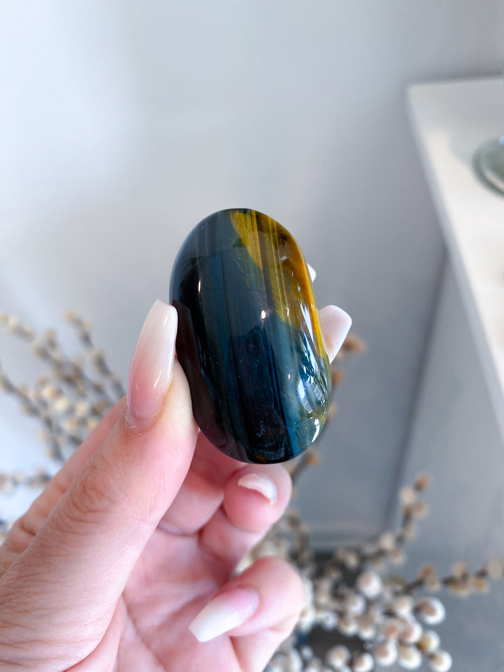 Small Blue Tigers Eye Palm
