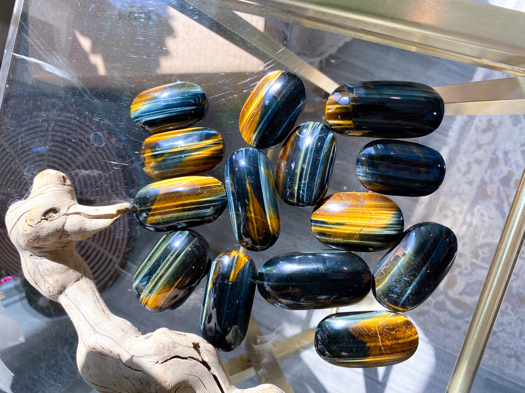 Small Blue Tigers Eye Palm