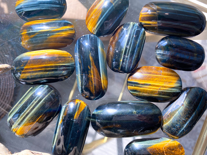 Small Blue Tigers Eye Palm