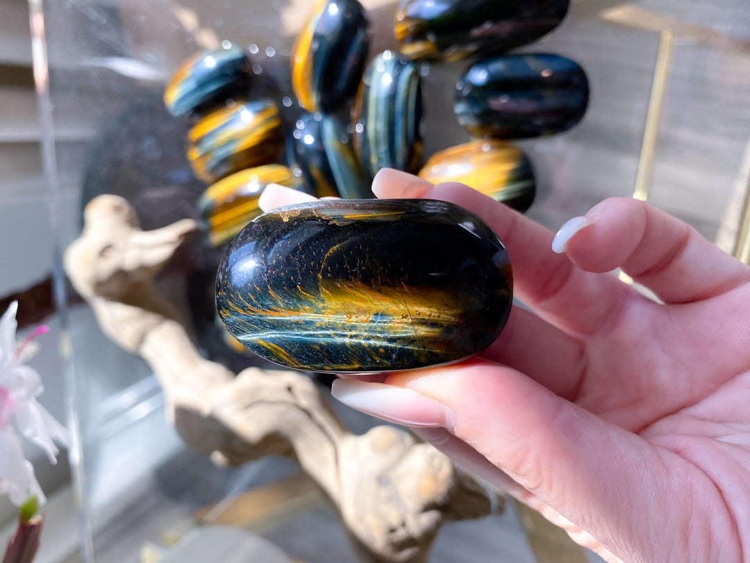 Small Blue Tigers Eye Palm