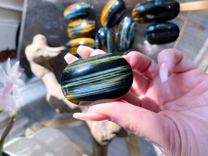 Small Blue Tigers Eye Palm