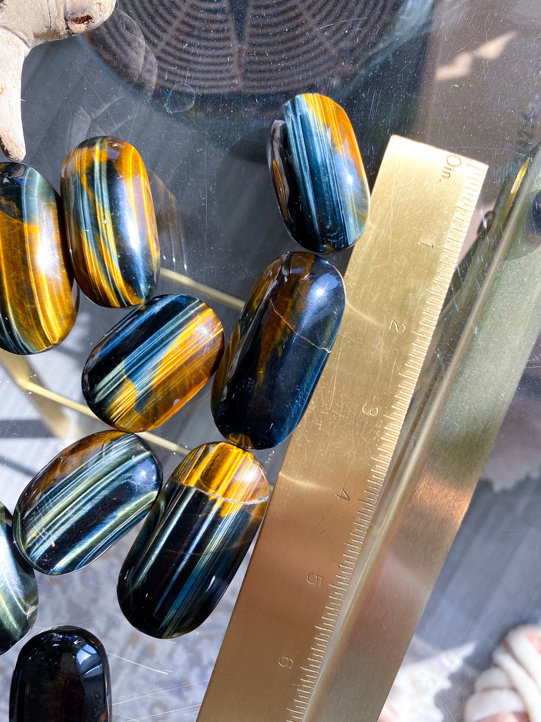 Small Blue Tigers Eye Palm