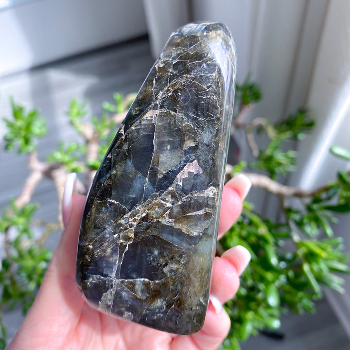 Hand holding a polished crystal with a natural pattern, blurred green plants in the background