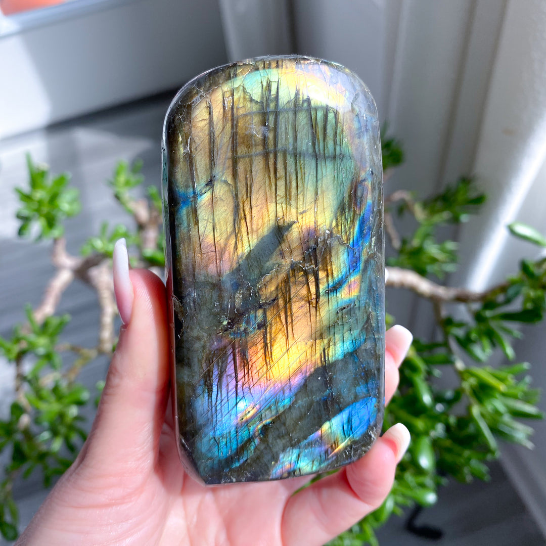 Hand holding a colorful labradorite crystal with a blurred indoor background