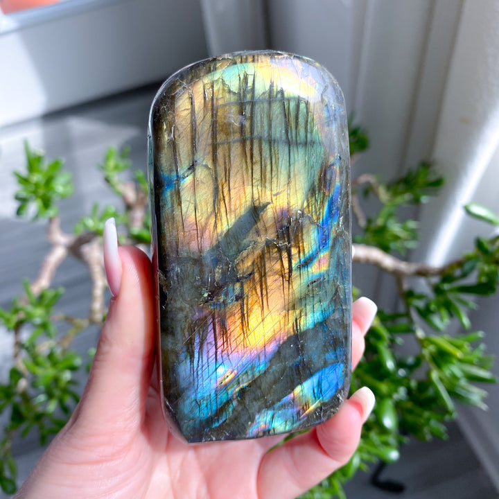 Hand holding a colorful labradorite crystal with a blurred indoor background