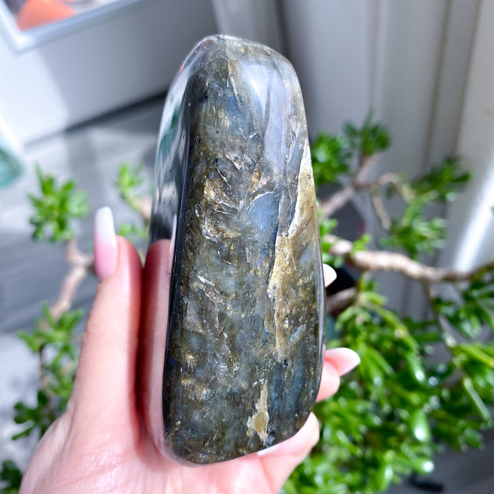 Person holding a large labradorite crystal with plants in the background