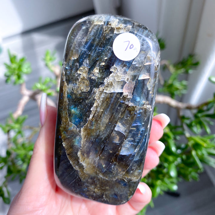 Crystal rock held in a hand with plants in the background