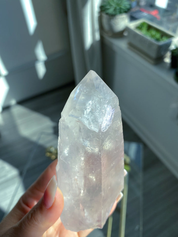 Large Empathic Warrior Lemurian Seed Quartz 
