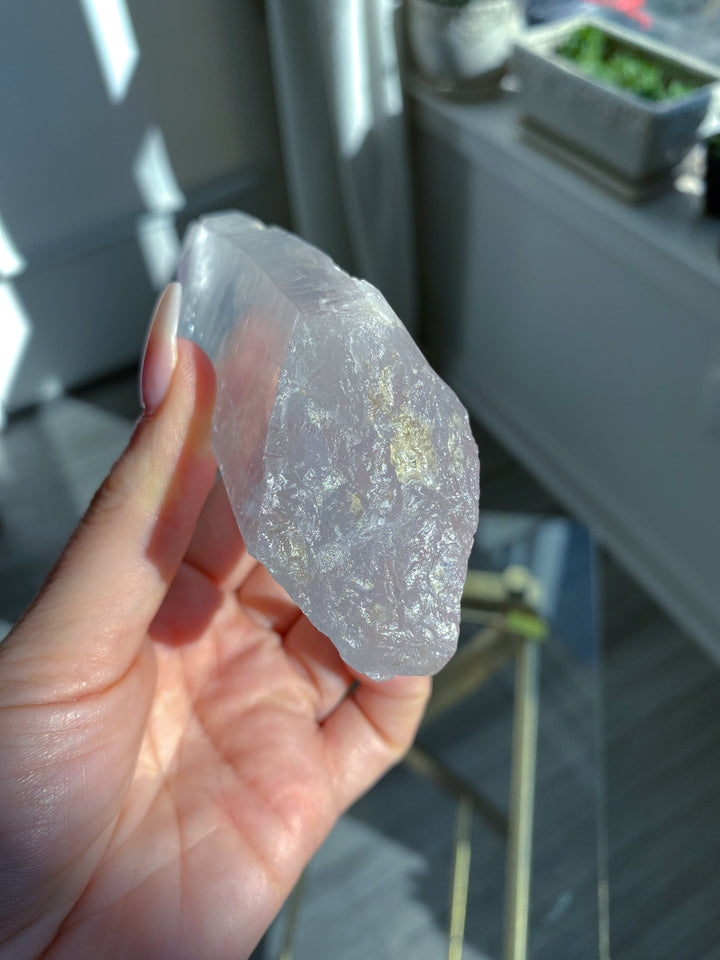 Large Empathic Warrior Lemurian Seed Quartz 