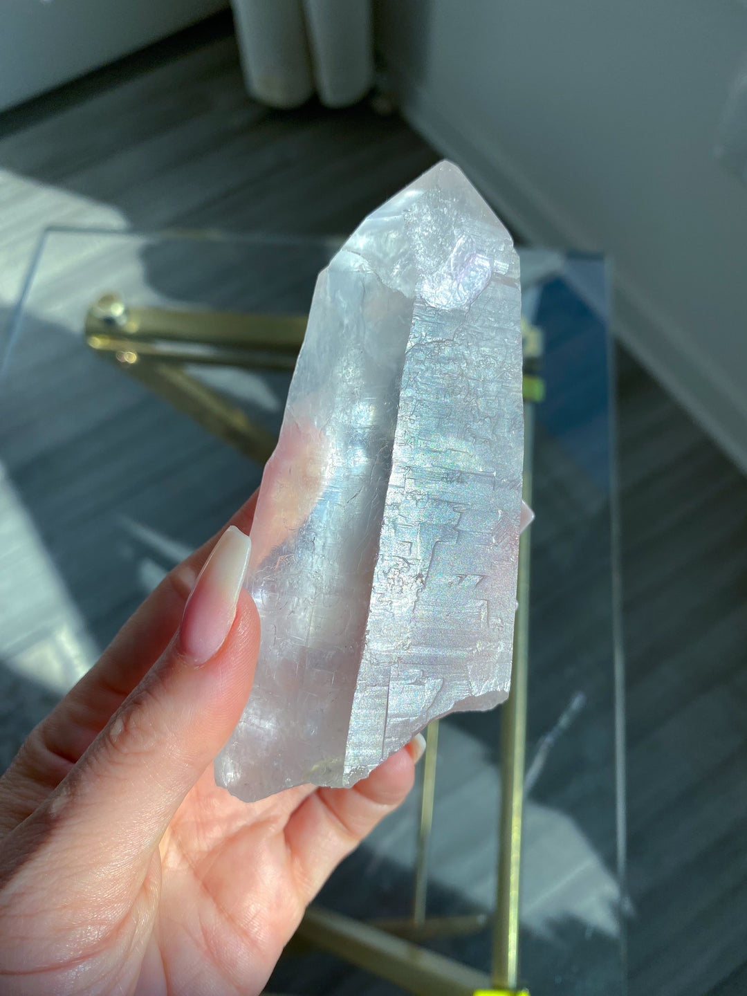 Large Empathic Warrior Lemurian Seed Quartz 