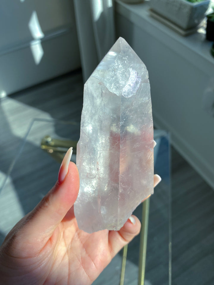 Large Empathic Warrior Lemurian Seed Quartz 