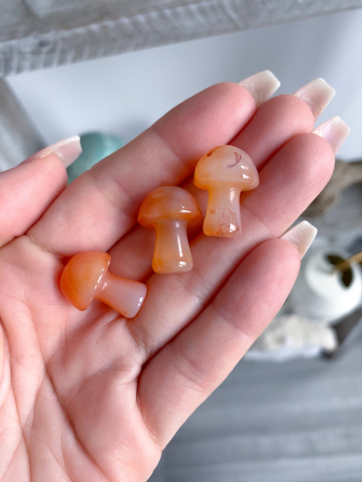 Light Carnelian Mini Mushroom