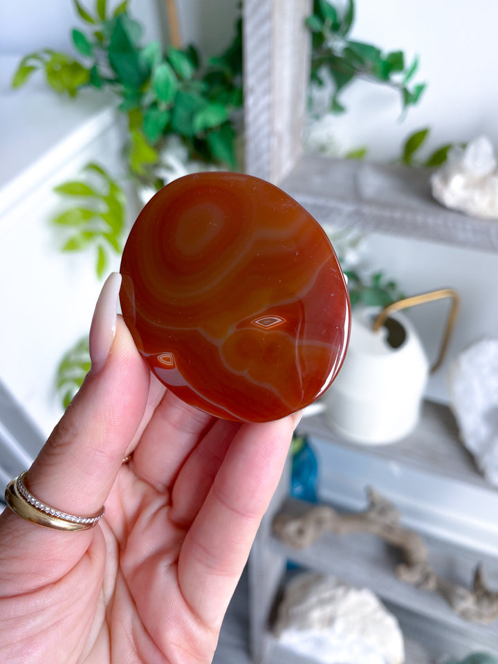 Smooth Carnelian Palm #12